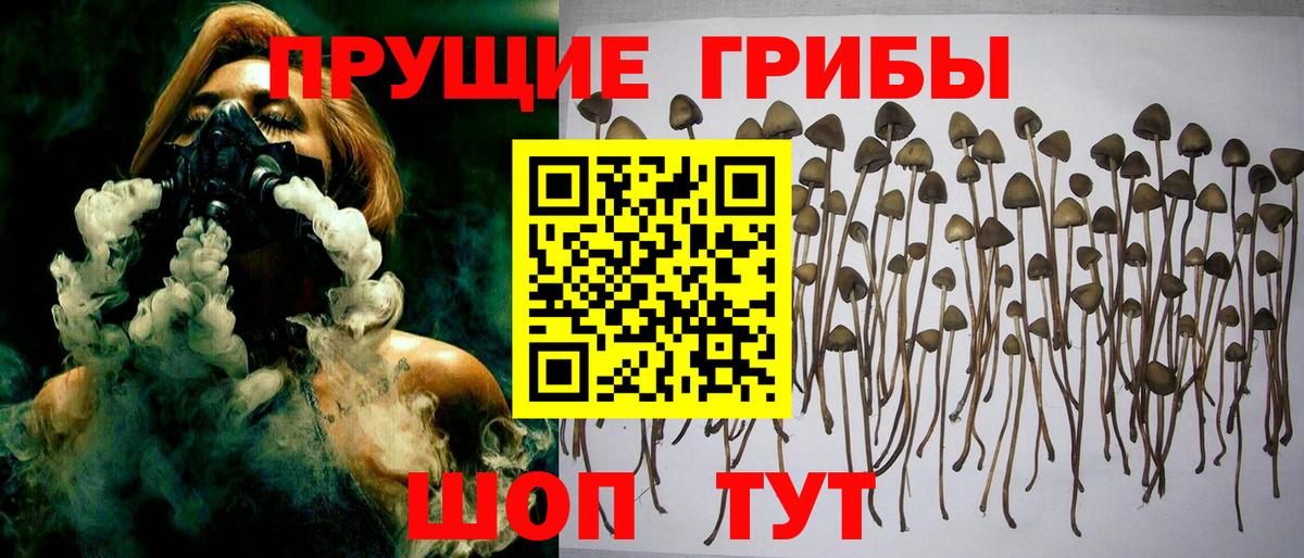 закладки  Вход с VPN  Тольятти  Галлюциногенные грибы мицелий 
