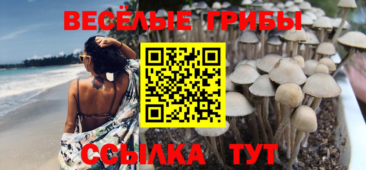 Галлюциногенные грибы мухоморы Тольятти